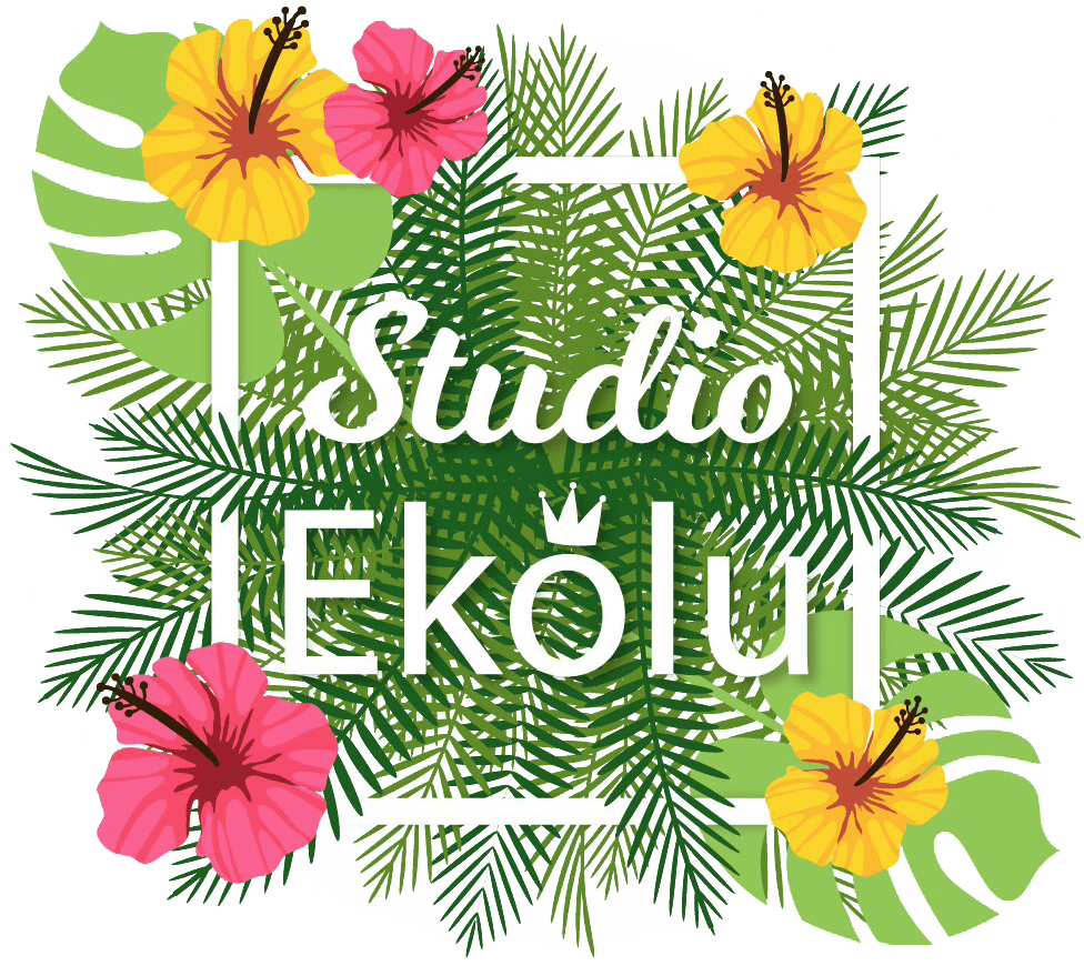 自律神経、うつ、睡眠の悩みに向き合う春日井市のサロン『Studio Ekolu（スタジオエコル）』